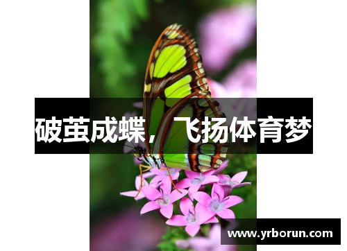 破茧成蝶，飞扬体育梦